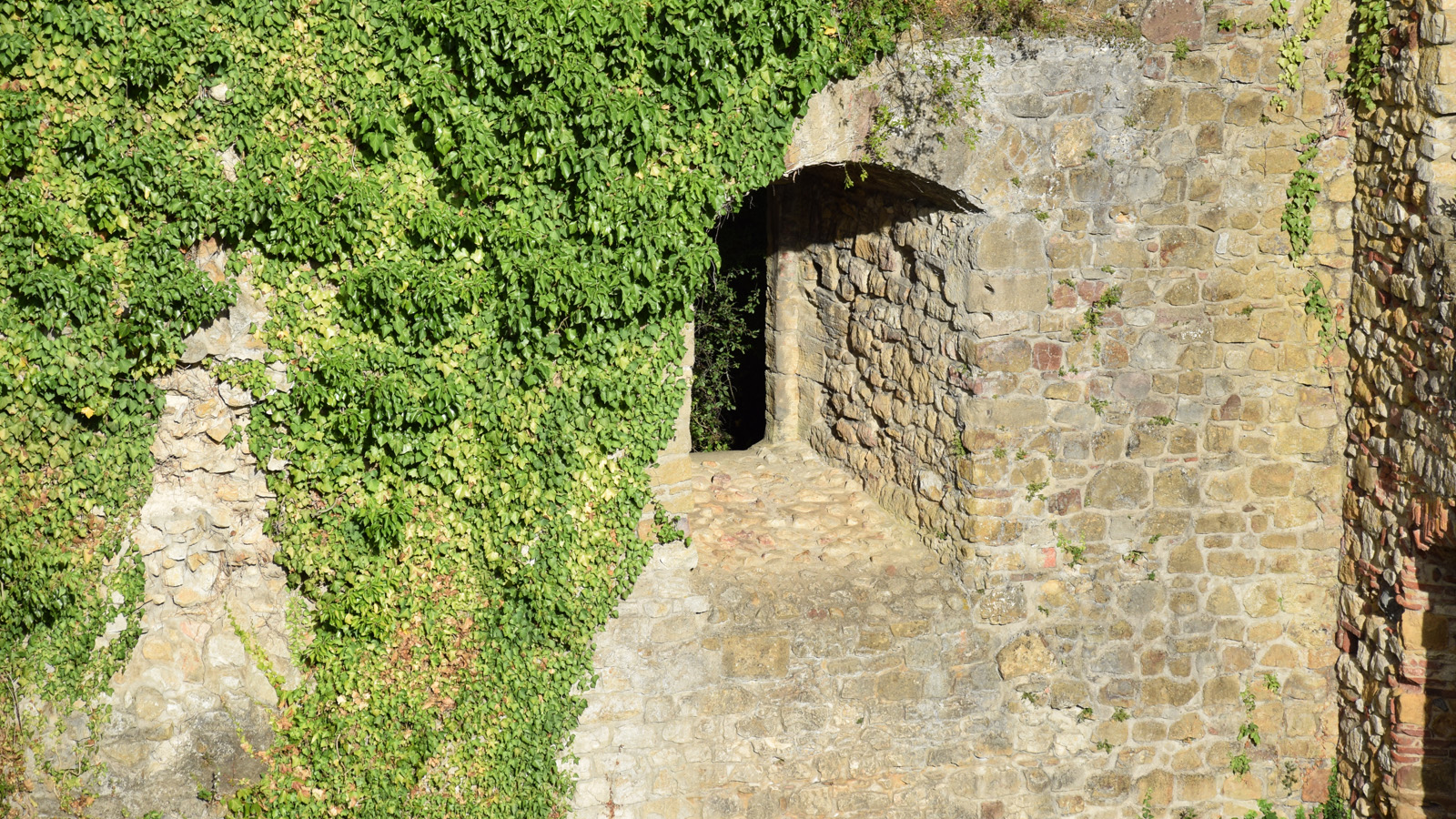 Die Reste eines Fensters