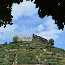 Burg Staufen