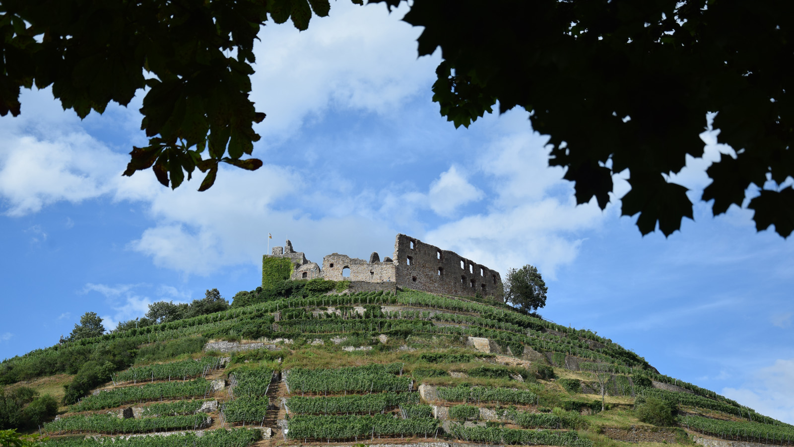 Majestätisch thront die Burgruine auf dem Schlossberg