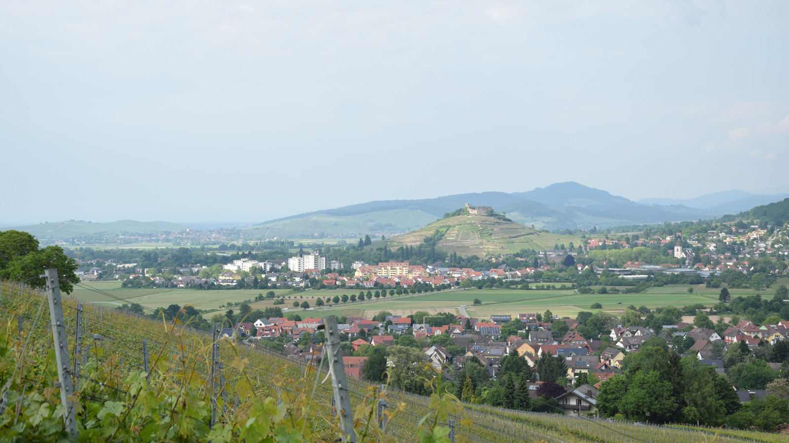 Blick auf Staufen
