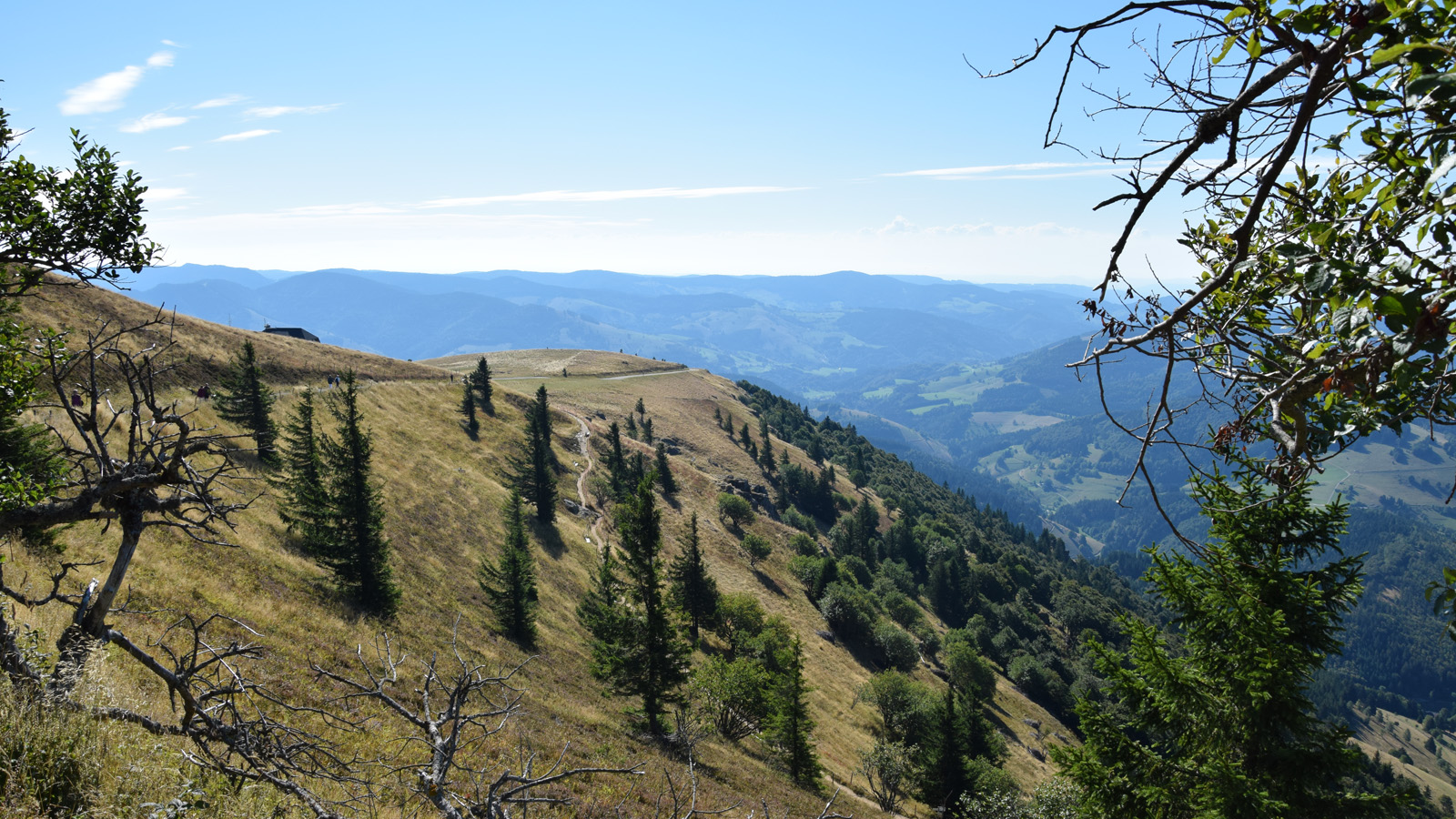 Panorama