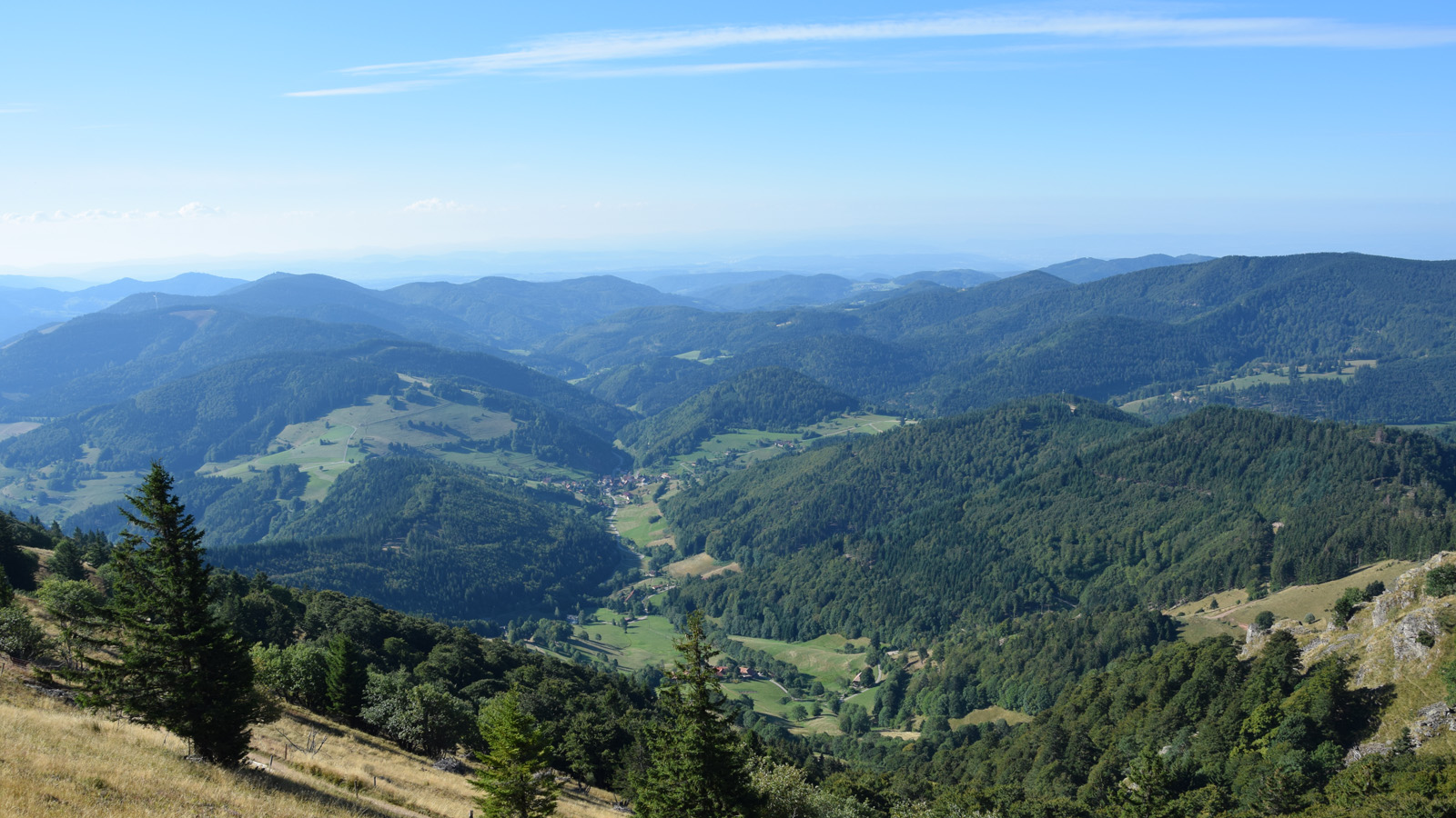 Panorama
