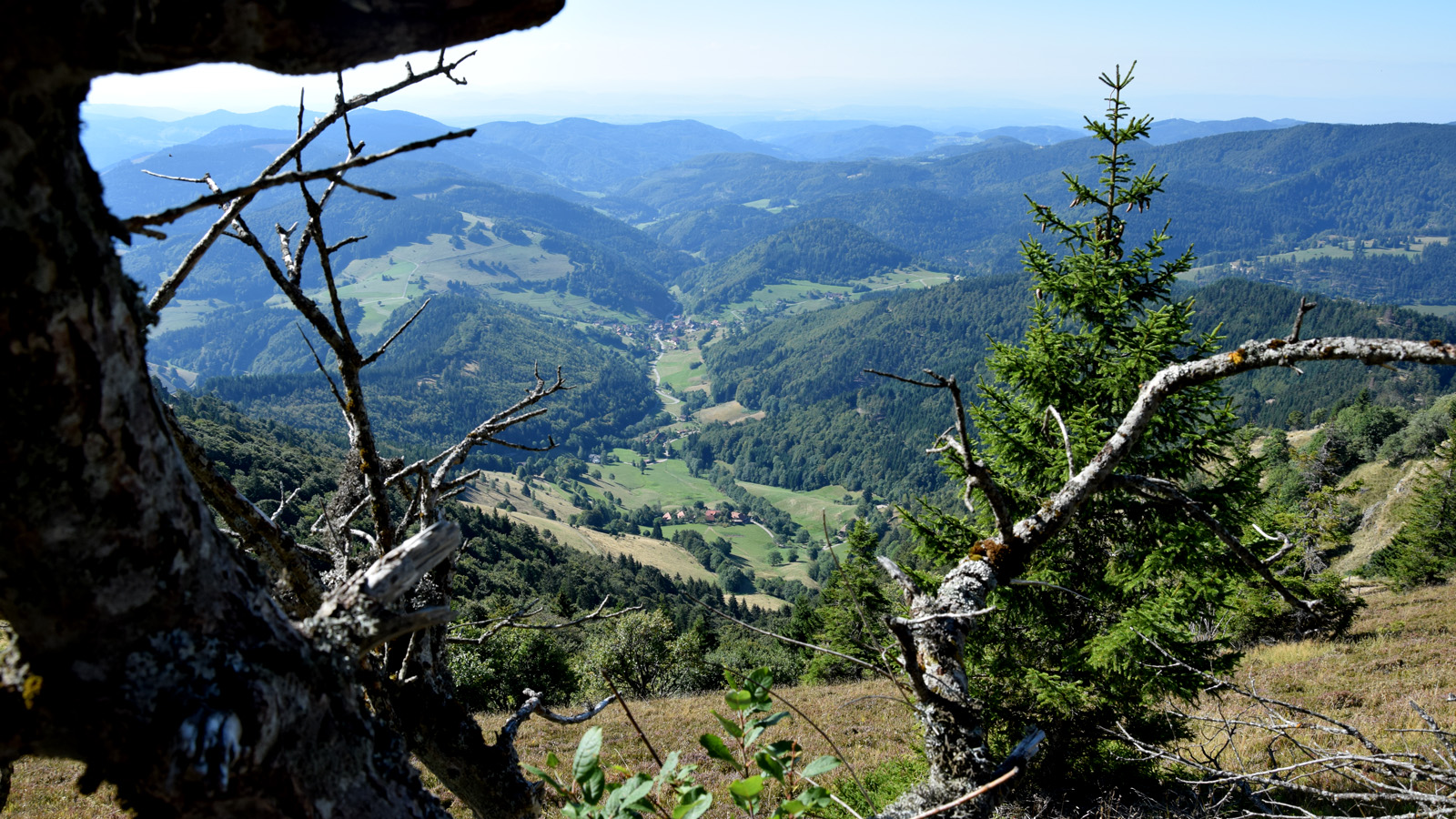 Panorama