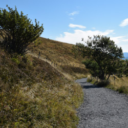 Belchen Gipfelweg