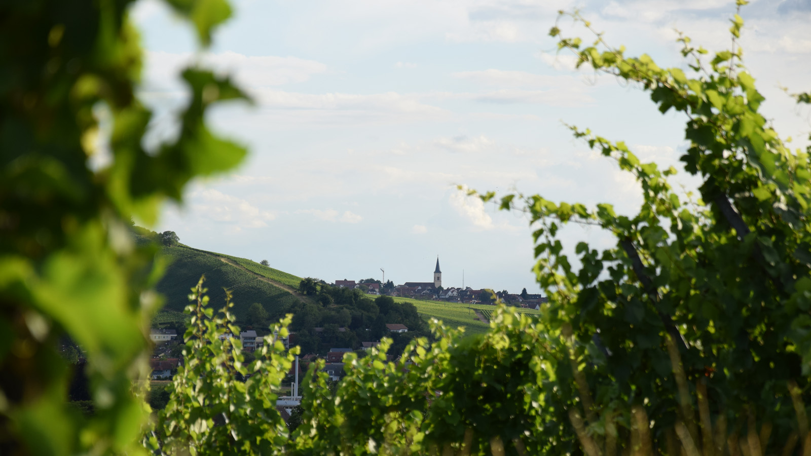 detailverliebt_blick_ballrechten