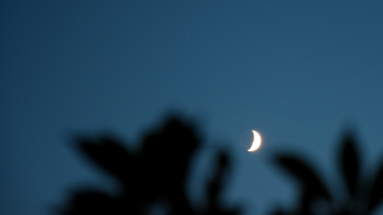 Mond