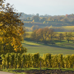 Herbstlandschaft