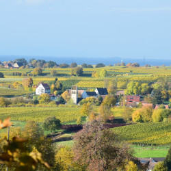 Markgräflerland Herbstlandschaft