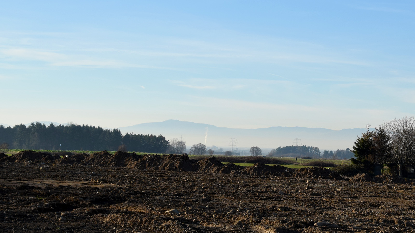 Blick auf die Rheinebene