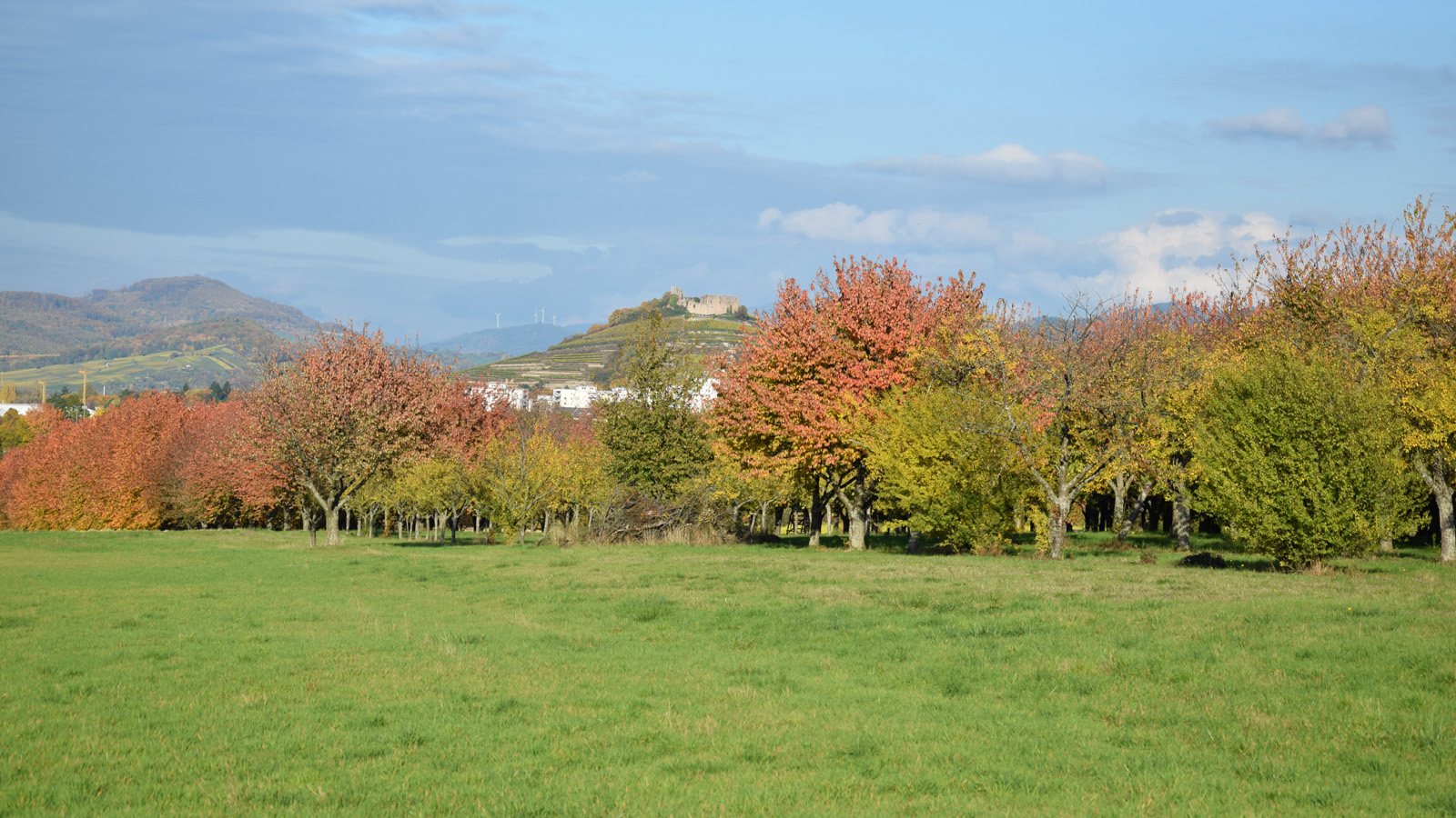 Blick auf Staufen durch buntes Herbstlaub
