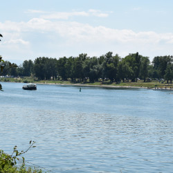 Rhein bei Breisach