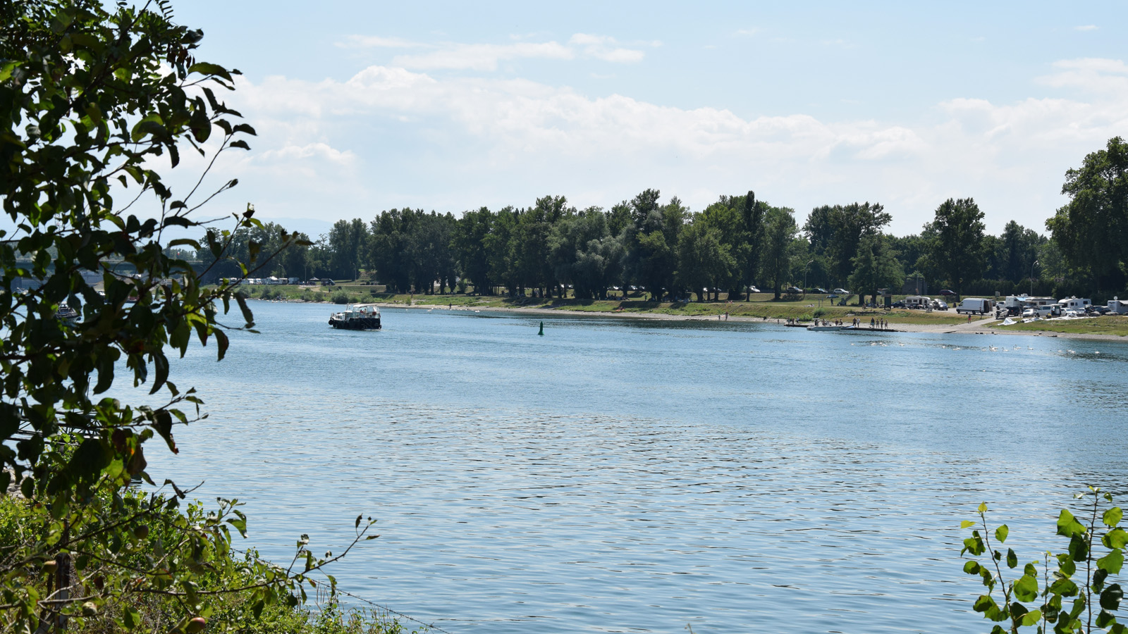 Der Rhein bei Breisach