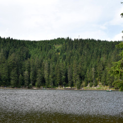 Schwarzwald am Mummelsee
