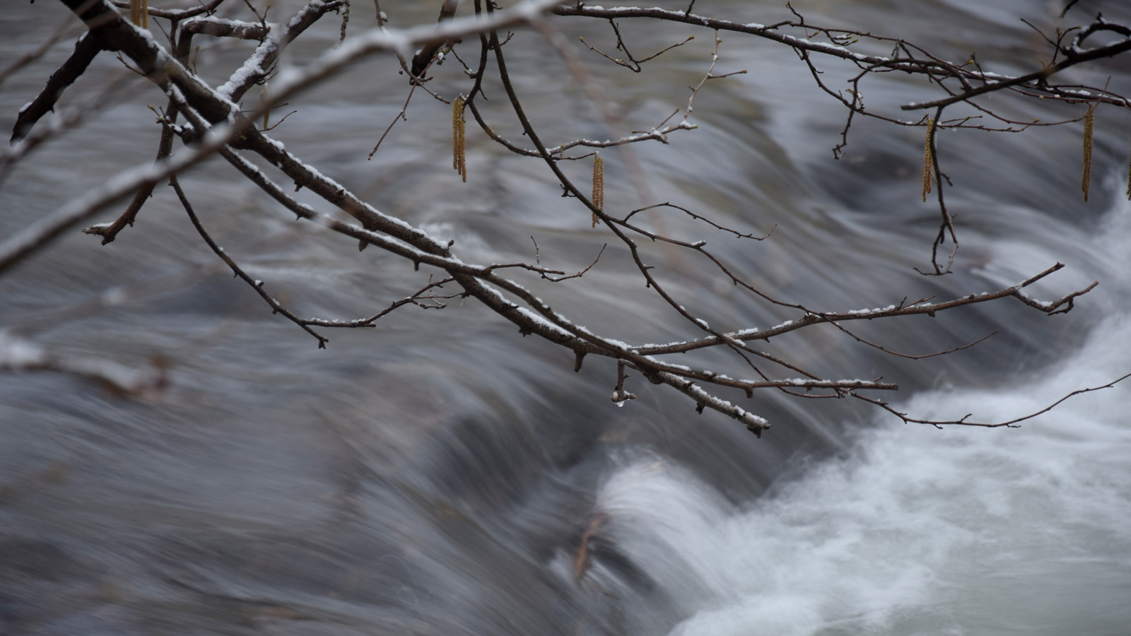 Winter am Bach