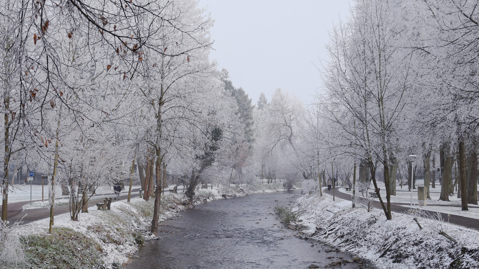 Winter am Bach