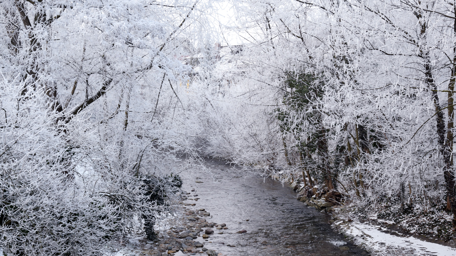 Winter am Bach