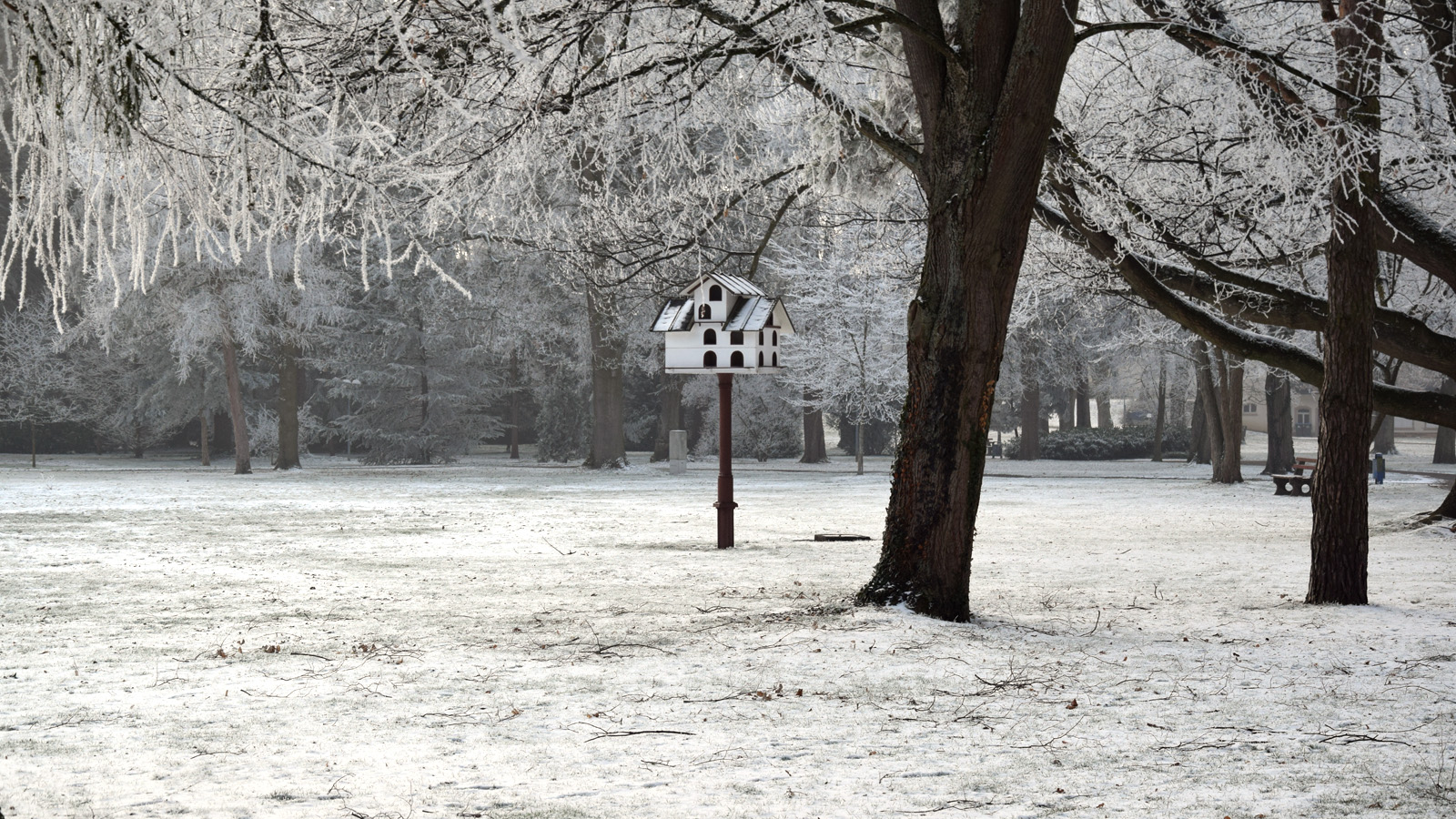 Vogelhaus im winterlichen Park