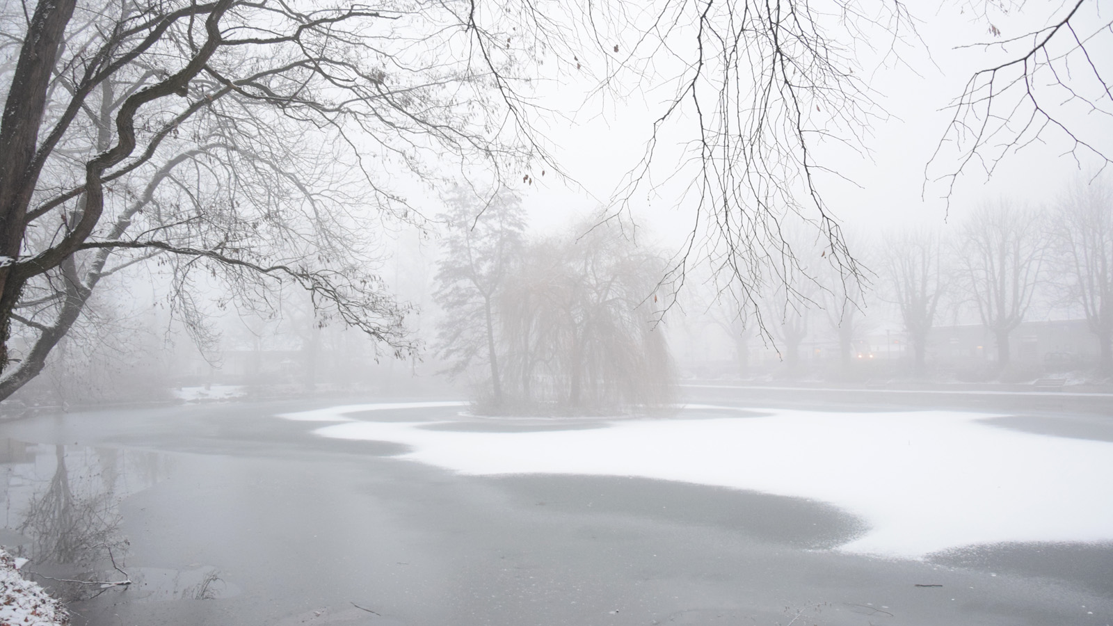 Winterliche Nebellandschaft