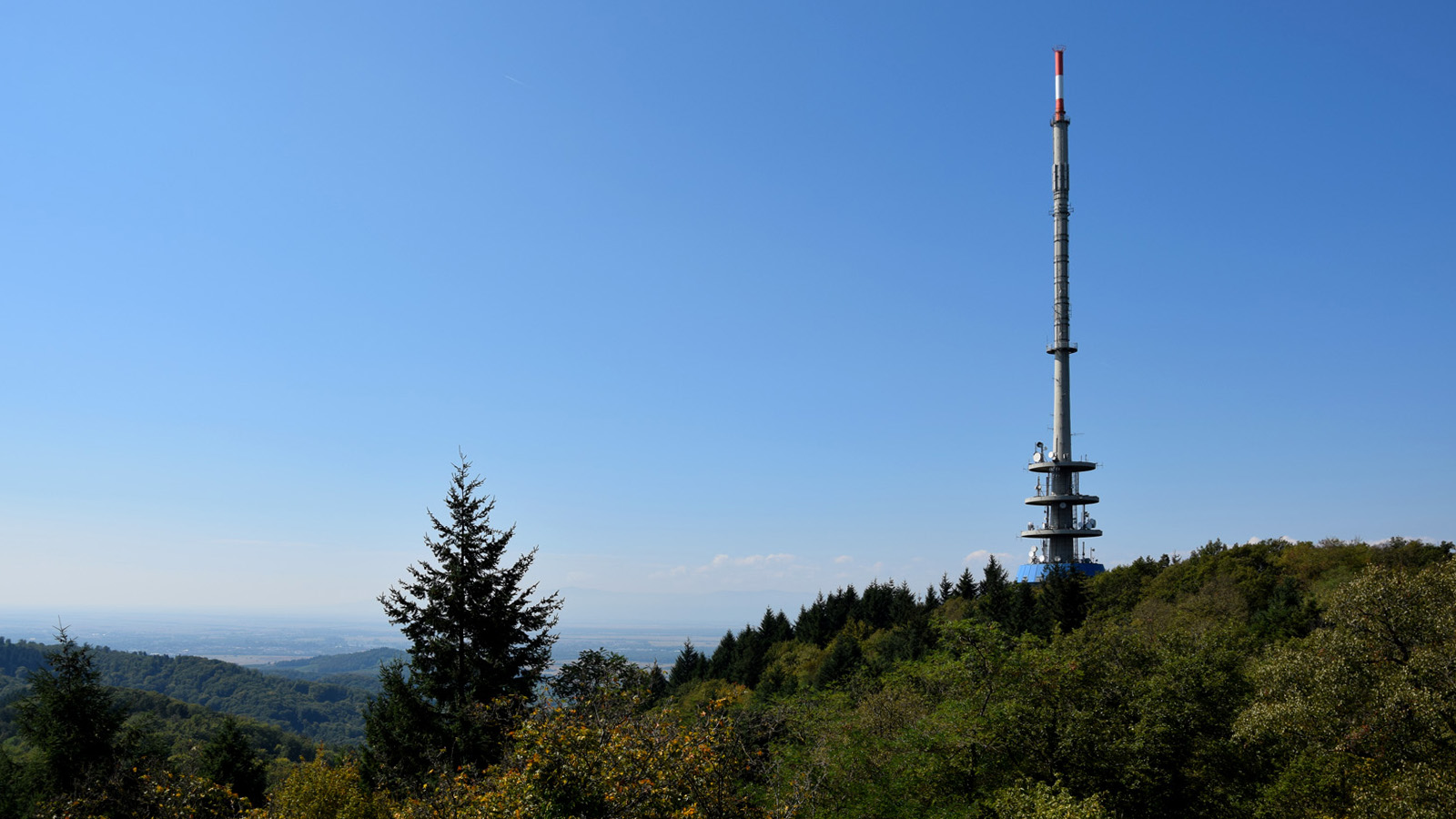 Totenkopfblick