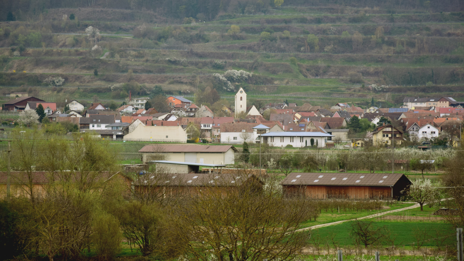 kaiserstuhl_bischoffingen