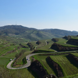 Unterwegs am Kaiserstuhl