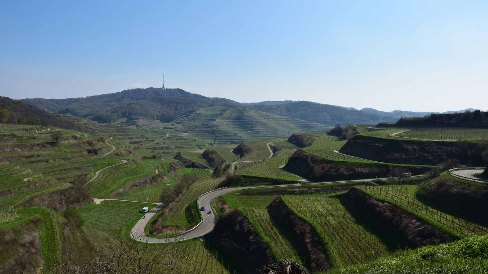 kaiserstuhl_totenkopf4