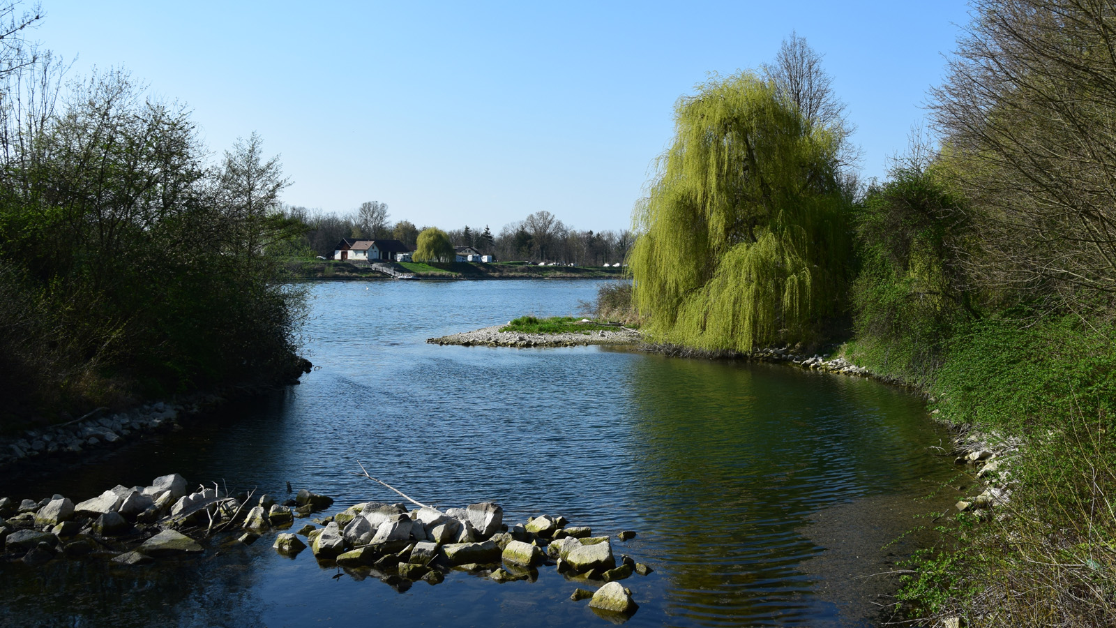 rhein_ufer