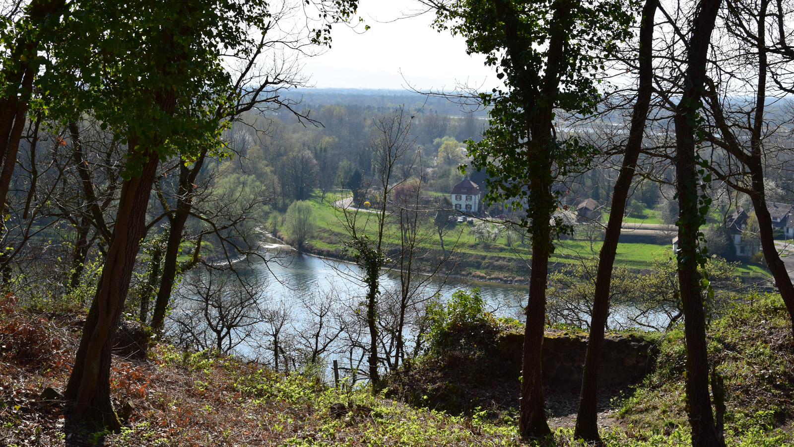 rhein_ufer2