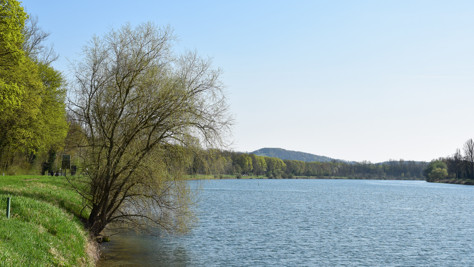 rhein_ufer5