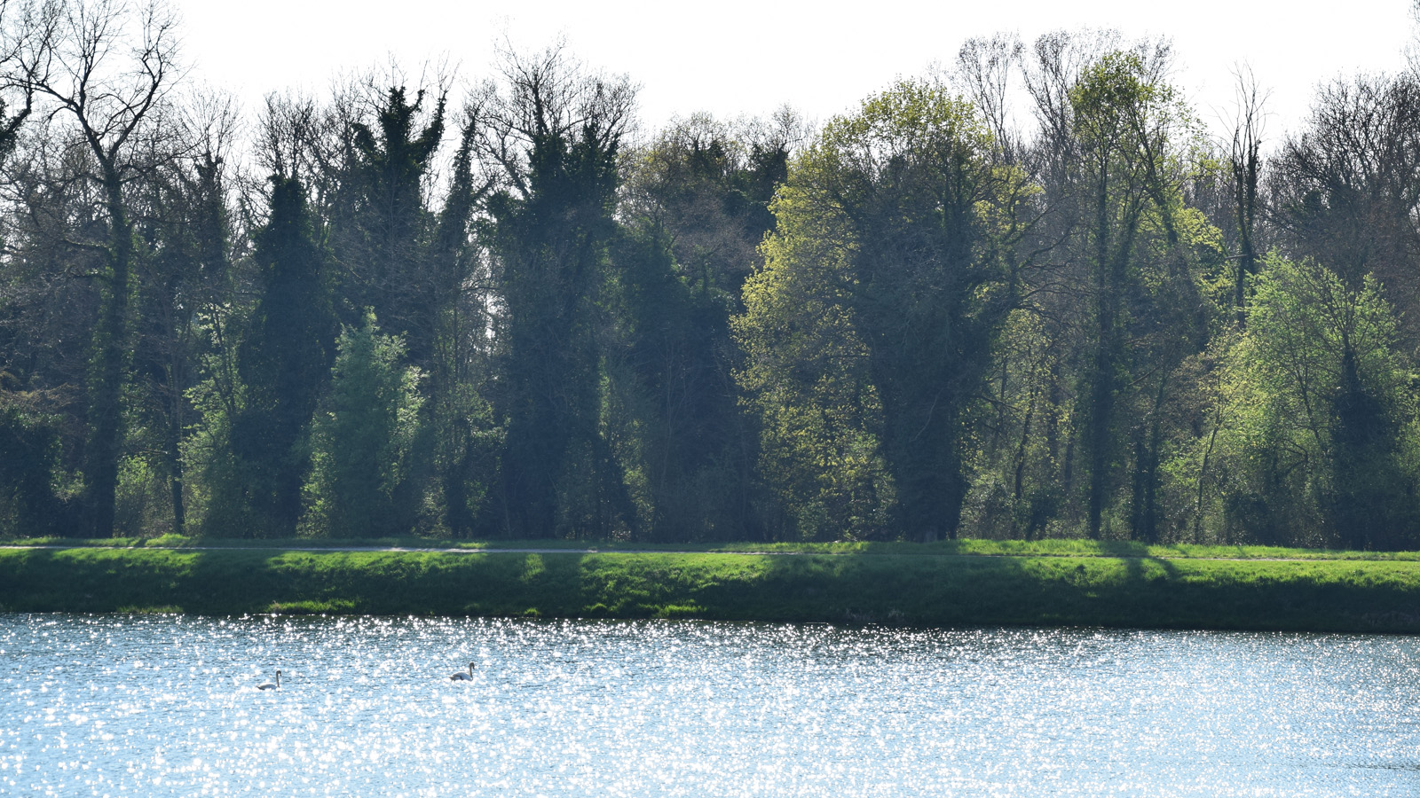 rhein_ufer7