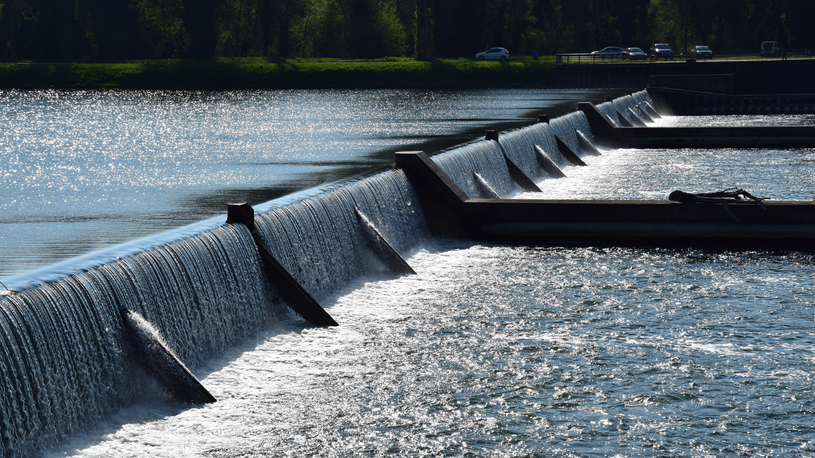 rhein_ufer8