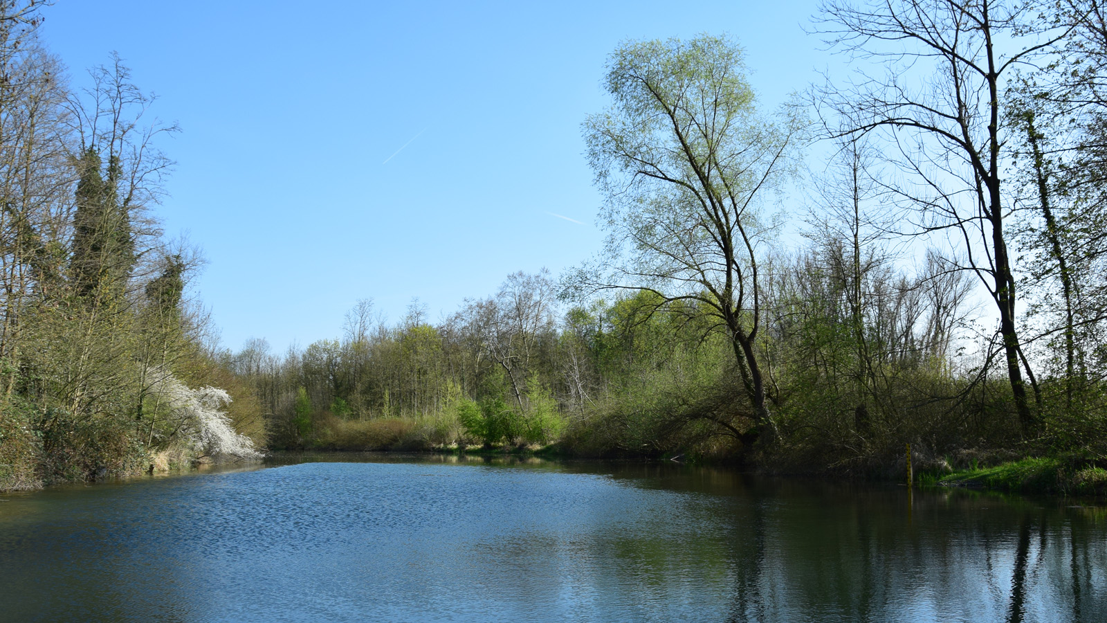 rhein_ufer9