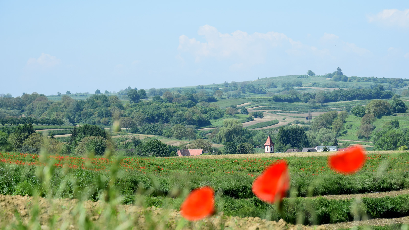 fruehling_ettenheim