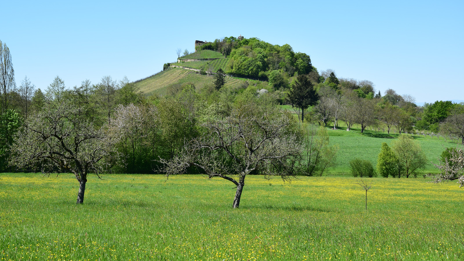 fruehling_schlossberg