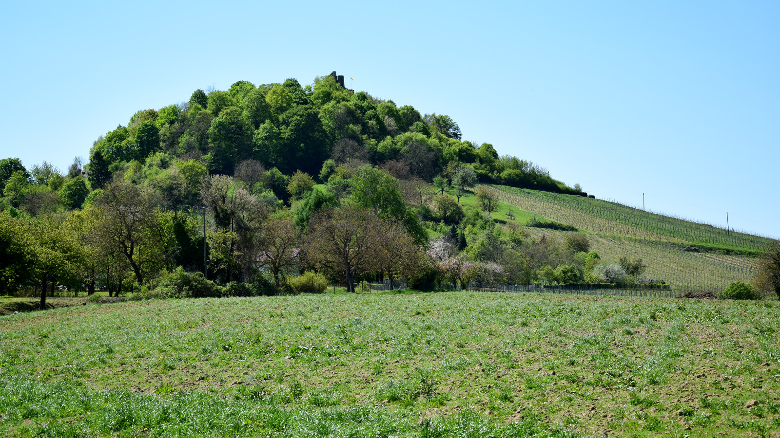 fruehling_schlossberg2