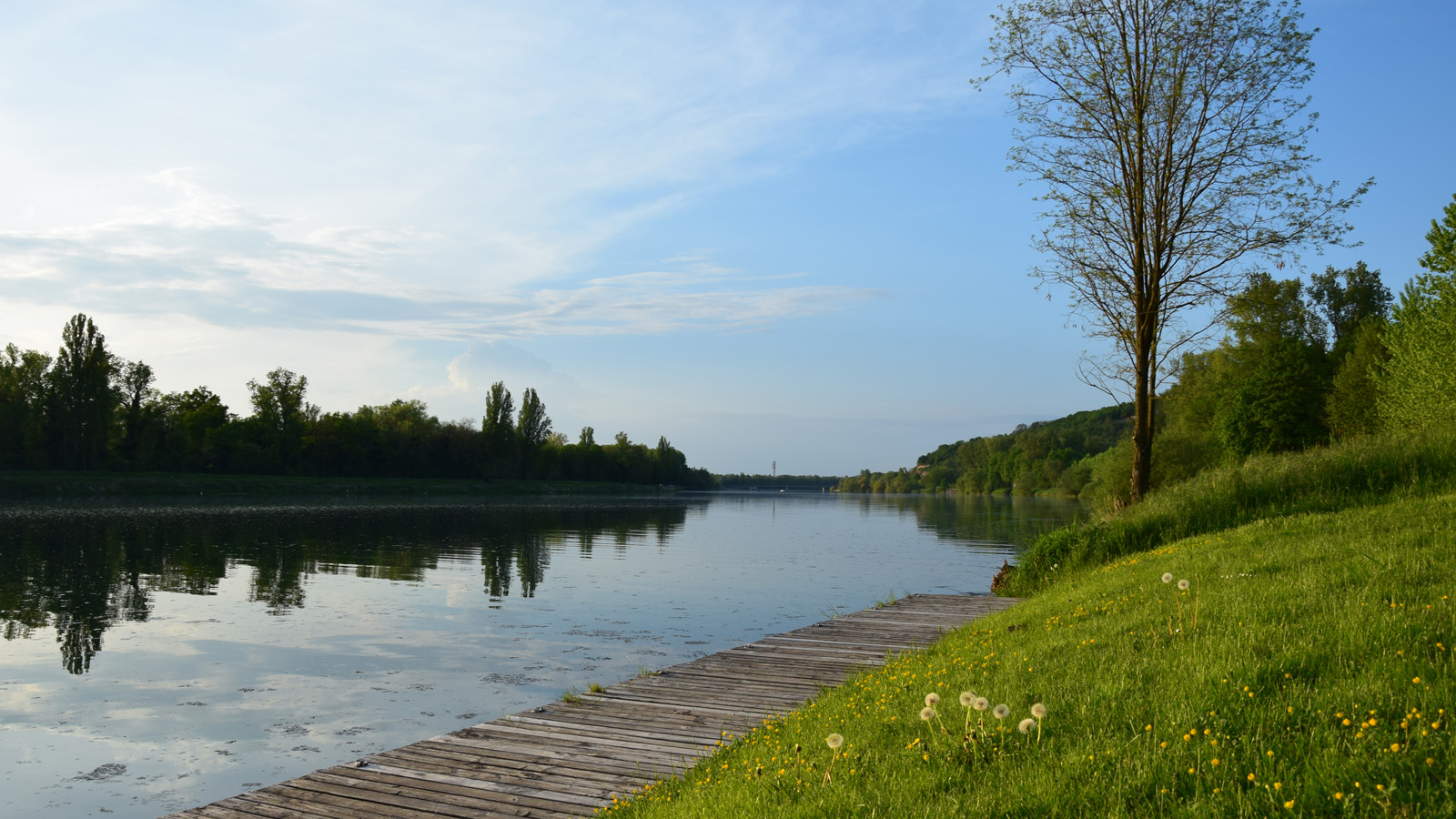 rhein_wiese