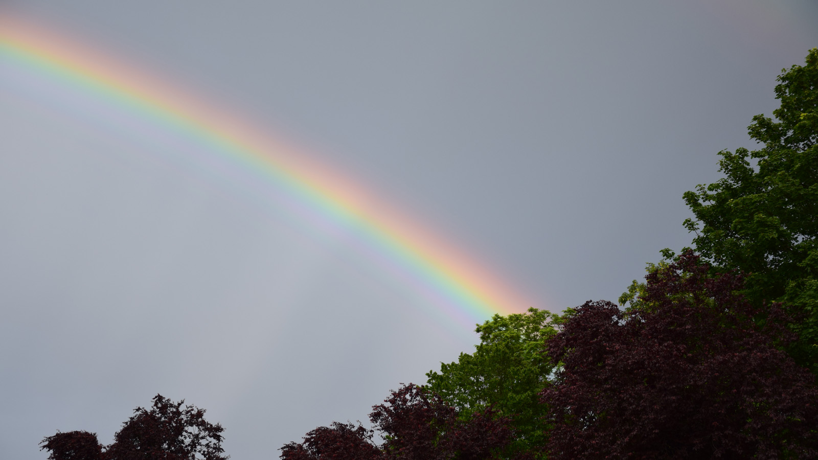 detailverliebt_regenbogen2