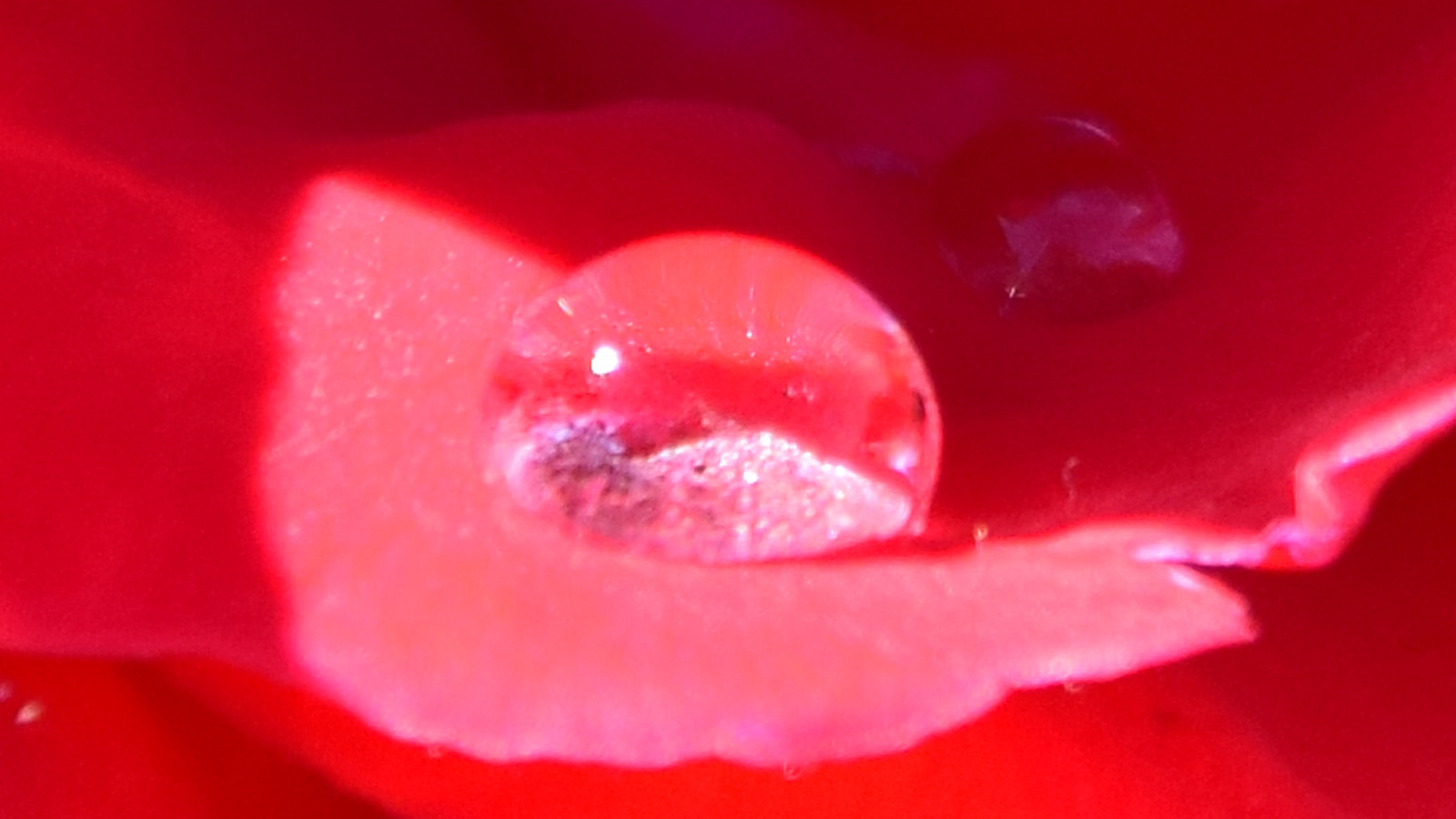 detailverliebt_wassertropfen