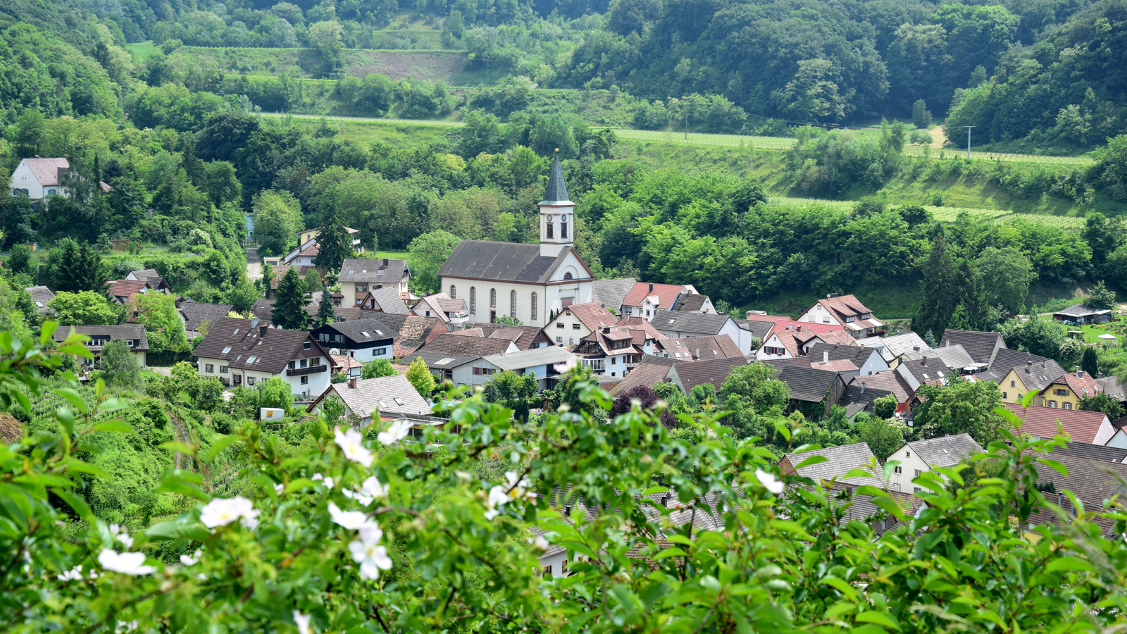 kaiserstuhl_kraeuterpfad6