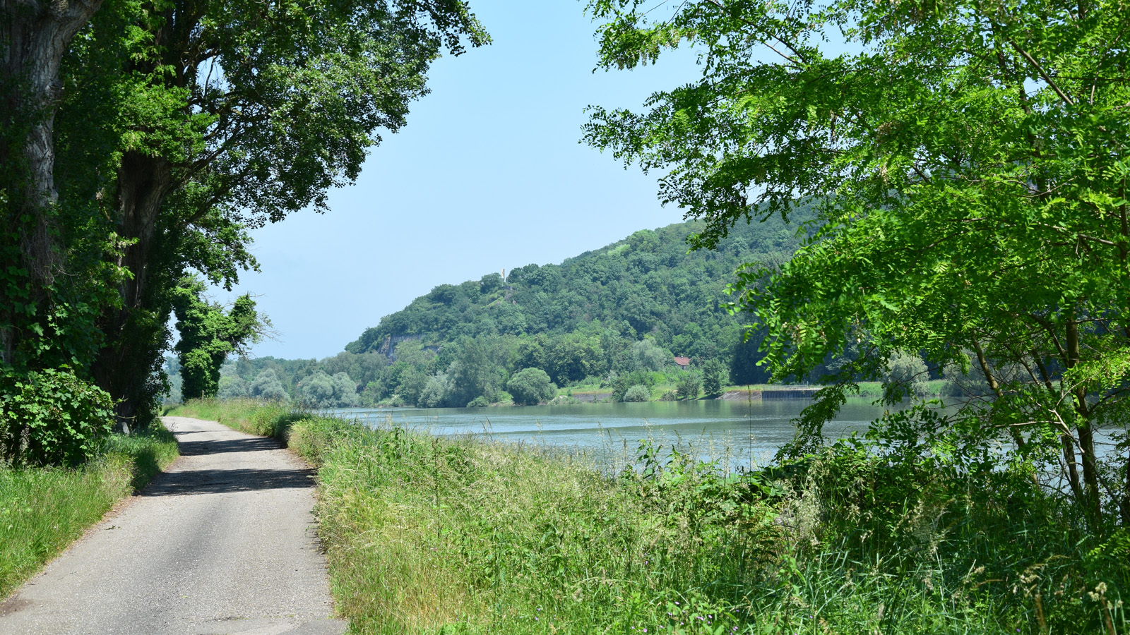 rhein_limburgblick