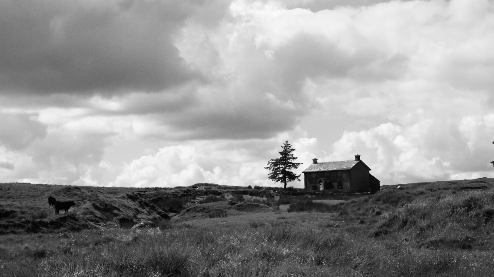 LRM_EXPORT_20160720_203928