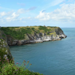 Berry Head