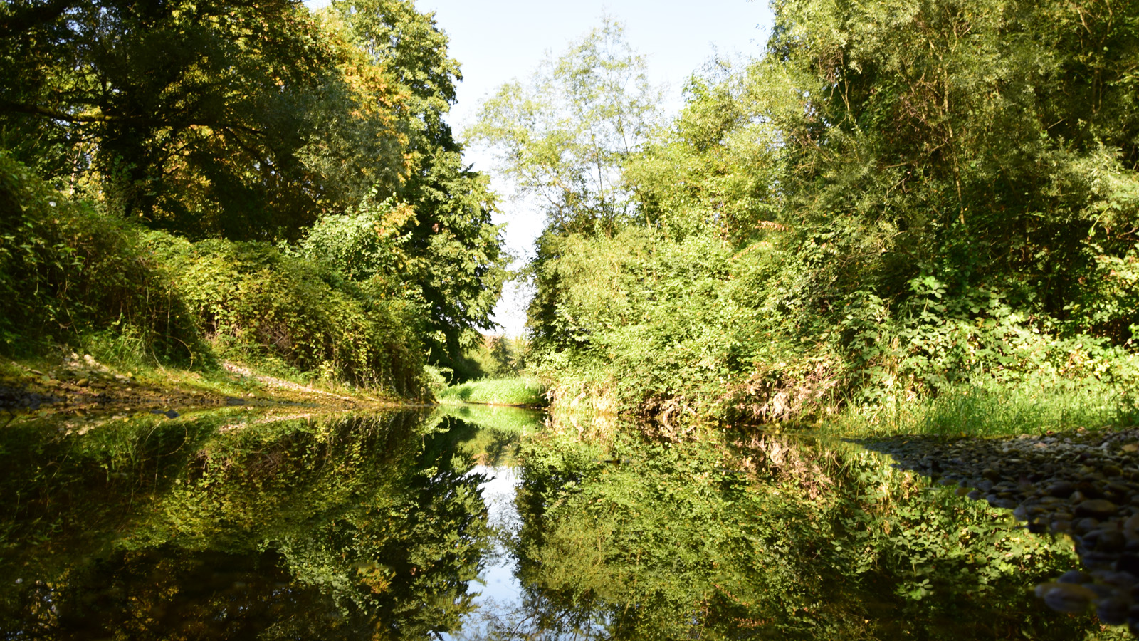 rhein_nebenarm