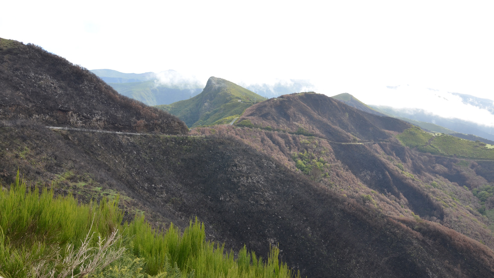 madeira_berge2