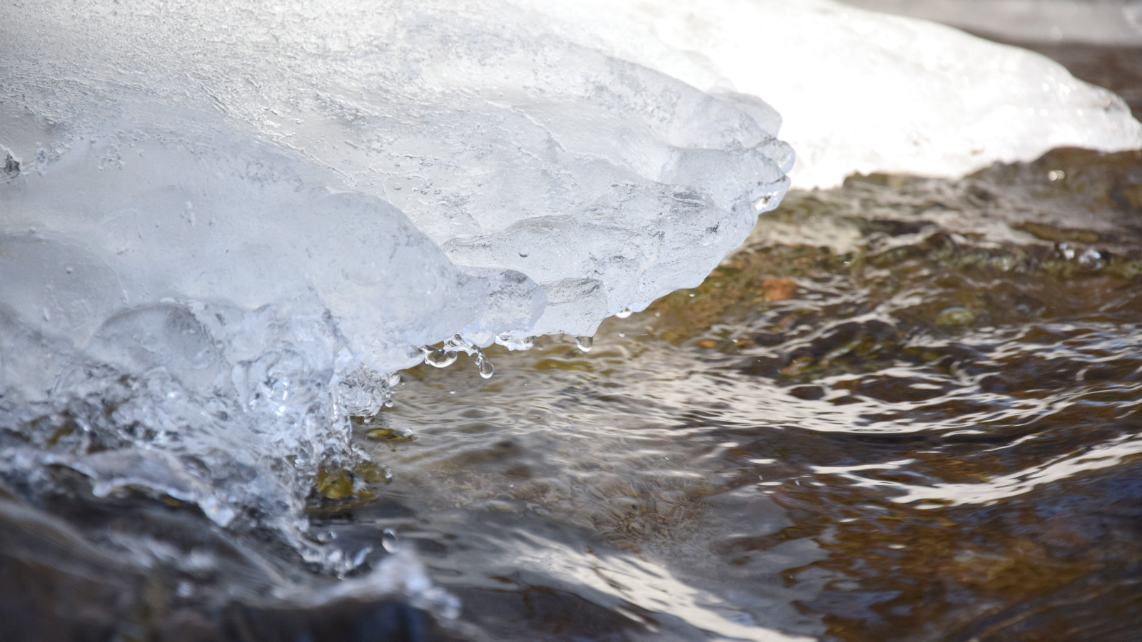 winter_eisflaeche2