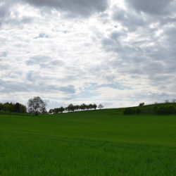 Ortenau