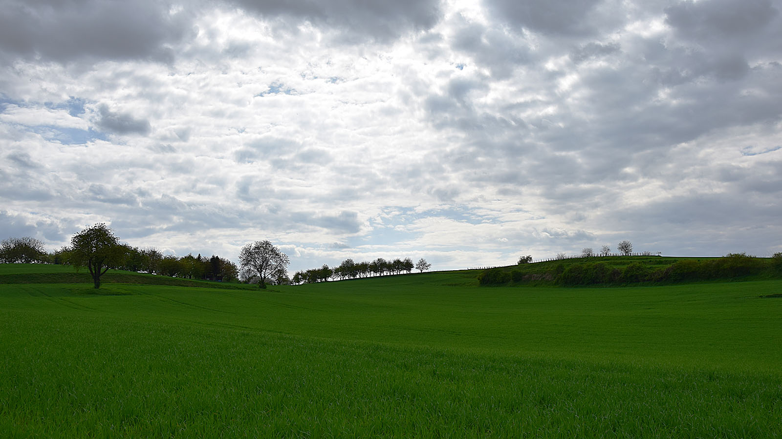 fruehling_landschaft