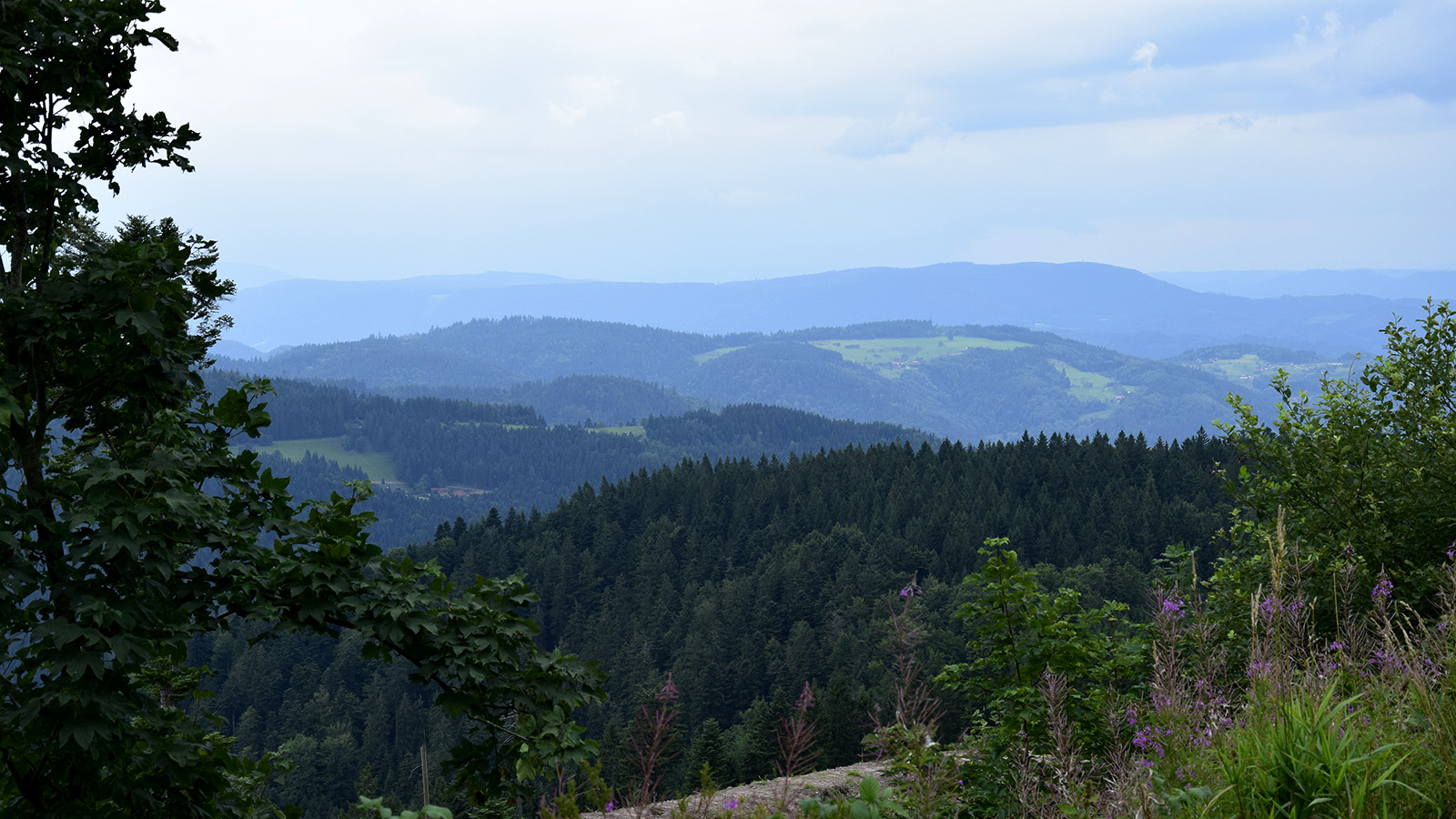 schwarzwald_blick