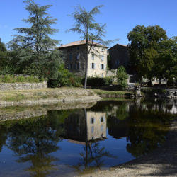 sw_Haeuserschlucht