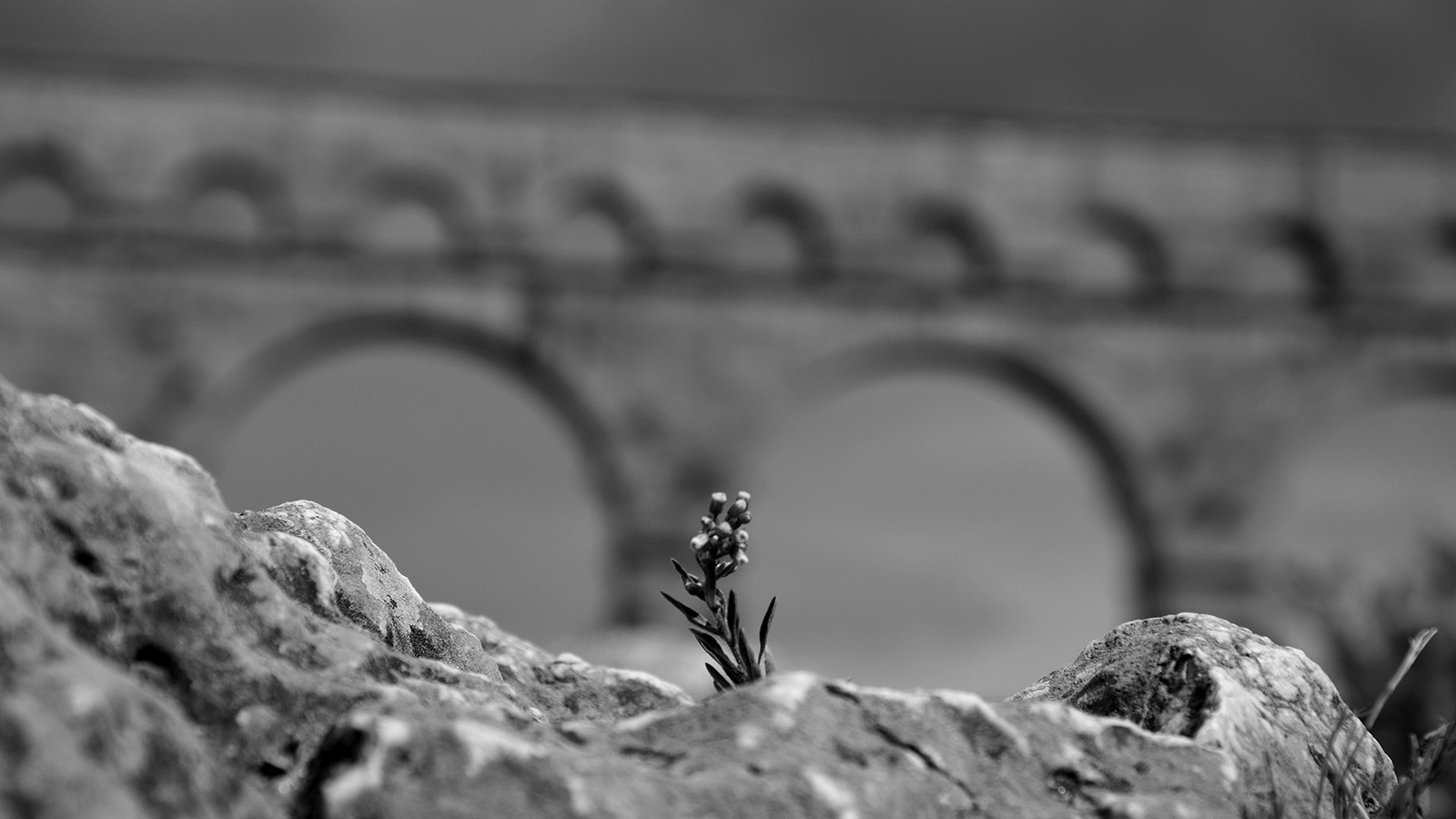 detailverliebt_pont2